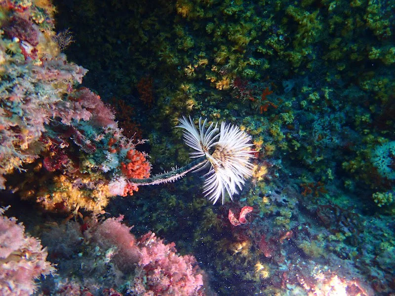 Foto 12