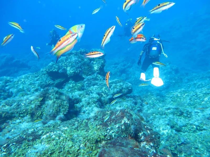 Foto 3