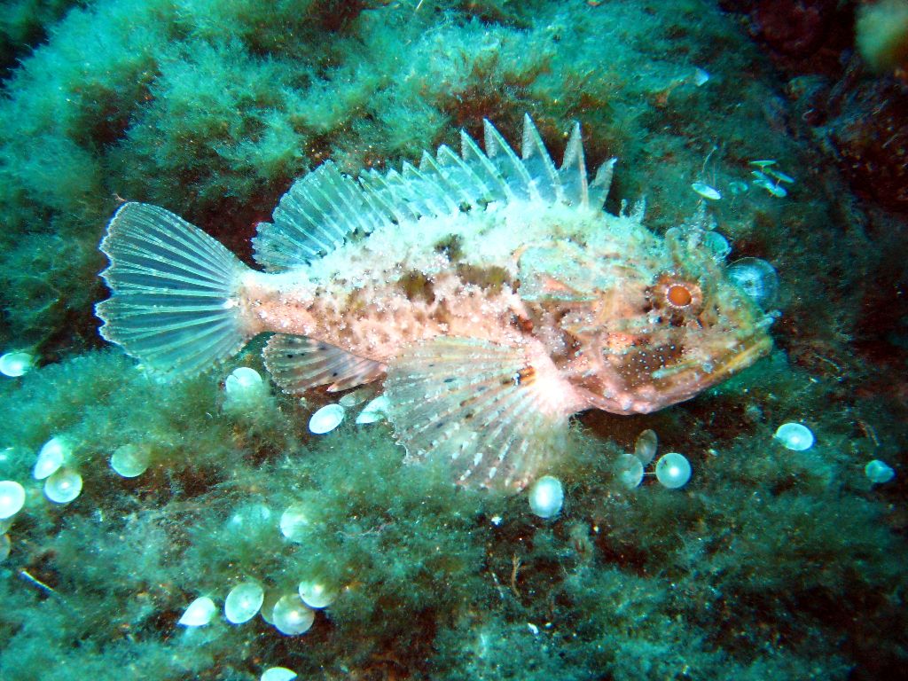 Cuevas Port Salví 2